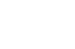 logowhite